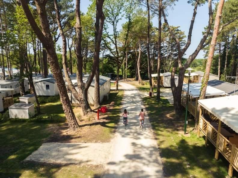 Mysavinahouse Holiday home