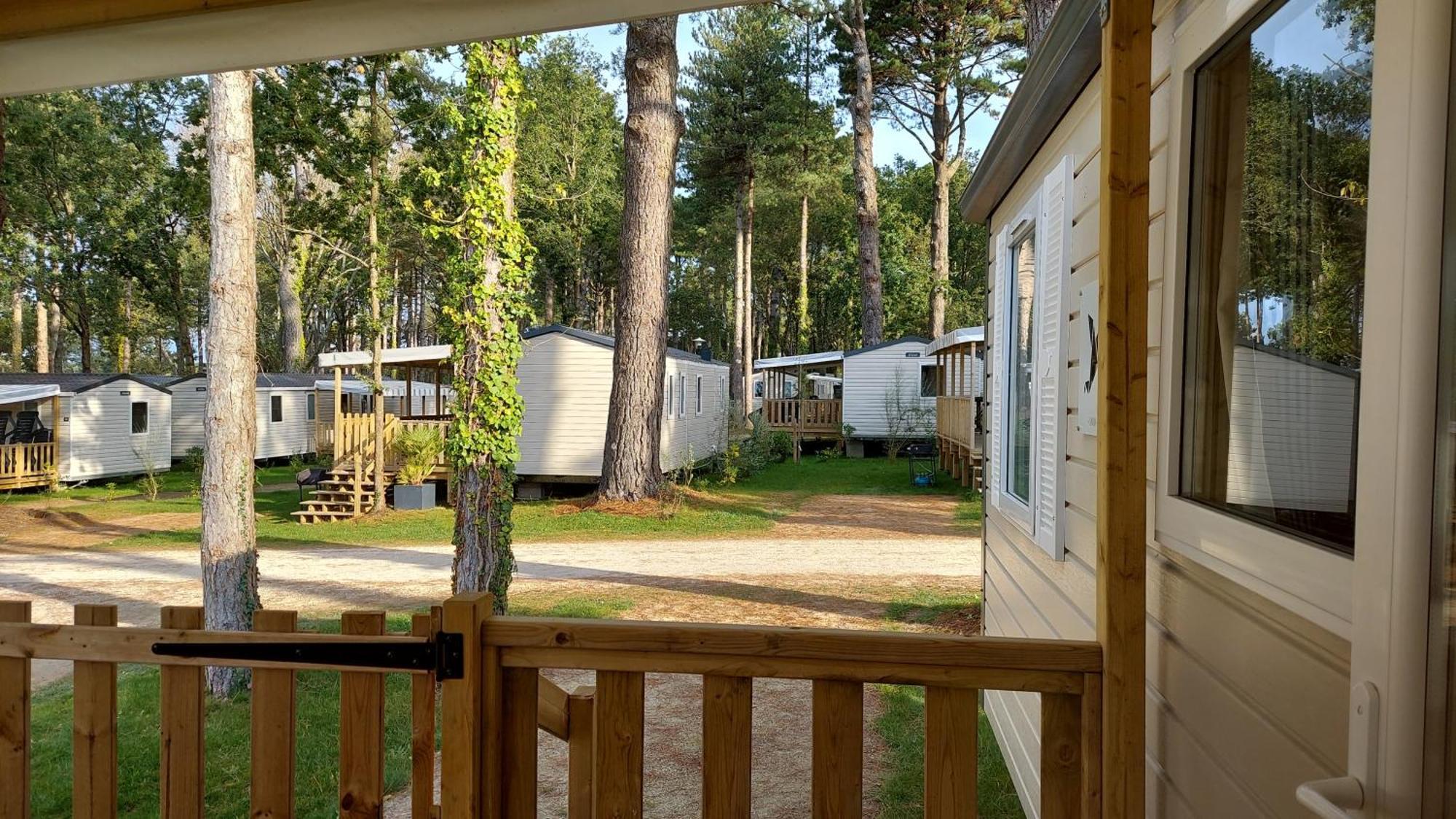 Holiday home Mysavinahouse